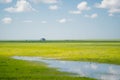 The landscape of the grassland in Hulun Buir Royalty Free Stock Photo