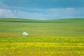 The landscape of the grassland in Hulun Buir Royalty Free Stock Photo