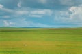 The landscape of the grassland in Hulun Buir Royalty Free Stock Photo