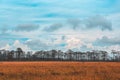 Landscape, grassland and panoramic sky