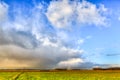 Landscape of grassland with rainbow at the horizon