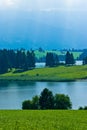 Landscape of grassland with trees and mountains Royalty Free Stock Photo