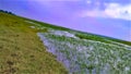 Landscape of grassy lake, skyline view with cloud of Indian rural area,