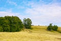 landscape with grassy meadows and pastures Royalty Free Stock Photo
