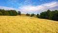 landscape with grassy meadows and pastures Royalty Free Stock Photo