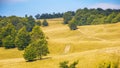 landscape with grassy meadows and pastures Royalty Free Stock Photo