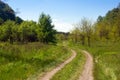 Landscape of a grassy valley with forked footpath, forest and sk