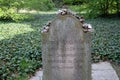 Landscape of grave of Moses Mendelssohn in Memorial Jewish Cemetary in Central Berlin