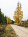 Landscape with a gravel road on the edge of the forest in autumn Royalty Free Stock Photo