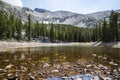 Landscape of Great Basin National Park Nevada Royalty Free Stock Photo