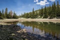 Landscape of Great Basin National Park Nevada Royalty Free Stock Photo