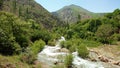 The mountain river flowing in Alborz mountains , Alamut