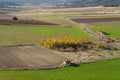 Landscape of green farm fields in autumn in Soria, Castilla y Leon, Spain Royalty Free Stock Photo