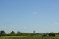 Landscape of a green field against a blue sky With an old tractor Royalty Free Stock Photo