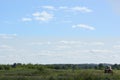 Landscape of a green field against a blue sky With an old tractor Royalty Free Stock Photo