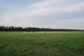 Landscape with a green field and blue sky