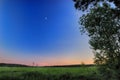 Landscape of a green field at the dusk Royalty Free Stock Photo