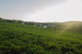 Landscape With Green Field Royalty Free Stock Photo