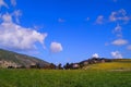 Landscape of green field and east Kiryat Haroshet northwest Israel