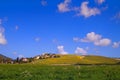 Landscape of green field and east Kiryat Haroshet northwest Israel