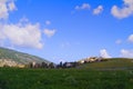 Landscape of green field and east Kiryat Haroshet northwest Israel