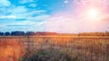 Landscape a green field under a bubbly summer colorful sky sunset dawn sunrise. Copyspace On Clear Sky. Royalty Free Stock Photo