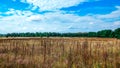 Landscape green field under a bubbly summer colorful sky at sunset dawn sunrise. Copyspace On Clear Sky. Royalty Free Stock Photo