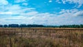 Landscape green field under bubbly summer colorful sky at sunset dawn sunrise. Copyspace On Clear Sky. Royalty Free Stock Photo