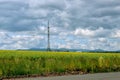 Landscape. Green field with yellow rapeseed flowers under a sky with beautiful clouds. Power line with wires. On the horizon are b Royalty Free Stock Photo