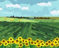 Landscape with green field, yellow sunflowers and blue sky Royalty Free Stock Photo