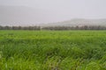 Landscape of green fields and east Kiryat Haroshet Israel