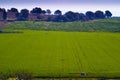 Landscape of the green fields of Kibbutz Kfar Glikson Israel Royalty Free Stock Photo