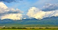 Landscape of green fields with snow-capped peak mountains in Calimani, Romania Royalty Free Stock Photo