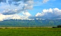 Landscape of green fields with snow-capped peaks mountains in Calimani, Romania Royalty Free Stock Photo