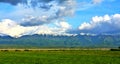 Landscape of green fields with snow-capped peaks mountains in Calimani, Romania Royalty Free Stock Photo