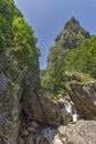 Landscape with Green forest around Erma River Gorge Royalty Free Stock Photo