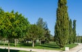 Landscape with green grass, ornamental and evergreen trees. Public landscape ÃÂity park `Krasnodar` or `Galitsky park`