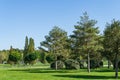 Landscape with green grass, ornamental and evergreen trees. Public landscape ÃÂity park `Krasnodar` or `Galitsky park`