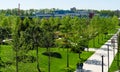 Landscape with green grass and ornamental trees. Public landscape ÃÂity park `Krasnodar` or `Galitsky park`