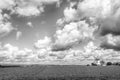 Landscape with green grass and windmill Royalty Free Stock Photo