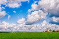 Landscape with green grass and windmill Royalty Free Stock Photo