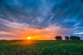 Landscape Of Green Maize Field Under Scenic Summer Dramatic Sky In Sunset Dawn Sunrise. Young Green Corn Plantation