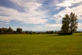 Landscape of a green Meadow in Ammersee, Germany