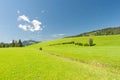 Landscape Royalty Free Stock Photo