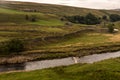 Landscape with green meadow, Yorkshire Dales, UK