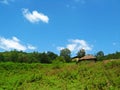 Green meadows of Caspian Hyrcanian forests , Iran Royalty Free Stock Photo