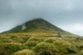 Landscape with green mountains of the Carpathians in the clouds Royalty Free Stock Photo