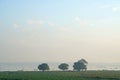 Landscape - green nature scene of Big tree on the lake at u bein bridge with sunrise. This place is famous landmark in Mandalay, B Royalty Free Stock Photo