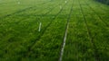 Landscape of green paddy rice field in west java, indonesia Royalty Free Stock Photo