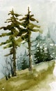 Landscape green pines and spruce, watercolor painting Royalty Free Stock Photo